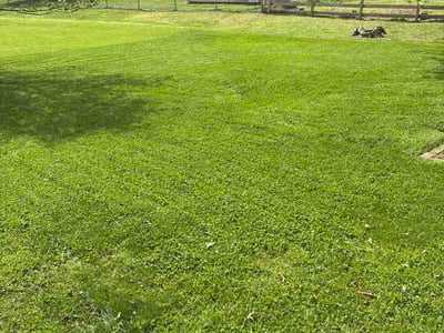 Lawn Care service in Tunkhannock, 18657
