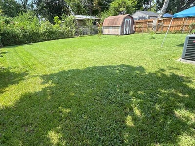 Lawn Care service in Liberty, 77575