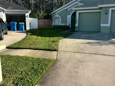 Lawn Care service in Wesley Chapel, 33543