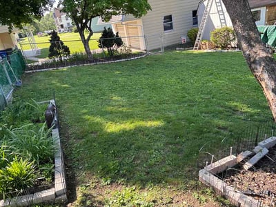 Lawn Care service in Pottstown, 19464