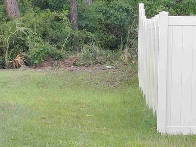 Lawn Care service in Titusville, 32796