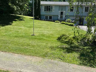 Lawn Care service in Ansonia, 06401