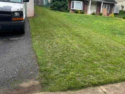 Lawn Care service in Havertown, 19083