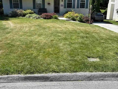 Lawn Care service in Havertown, 19083