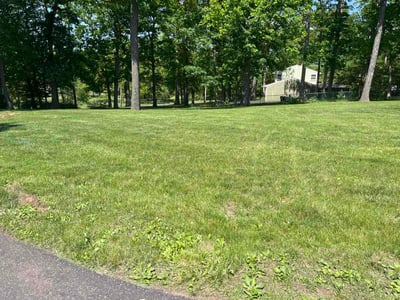 Lawn Care service in Collegeville, 19426
