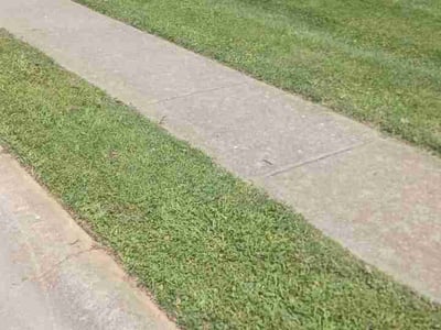 Lawn Care service in Clarksville, 47129