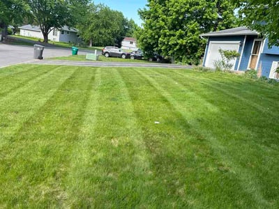 Lawn Care service in Chaska, 55318