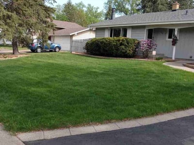 Lawn Care service in Roseville, 55113