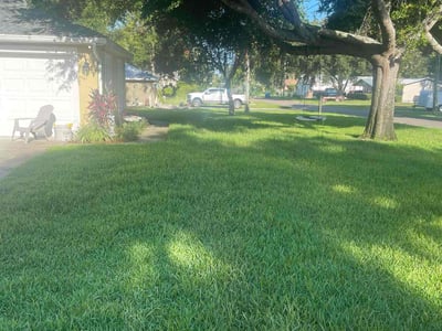Lawn Care service in Frostproof, 33843