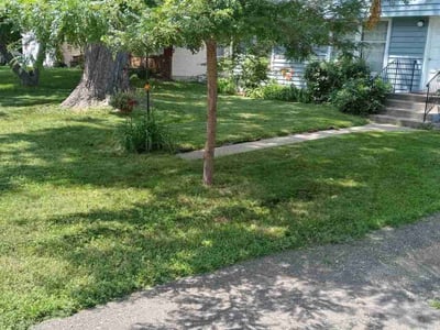 Lawn Care service in Roseville, 55113