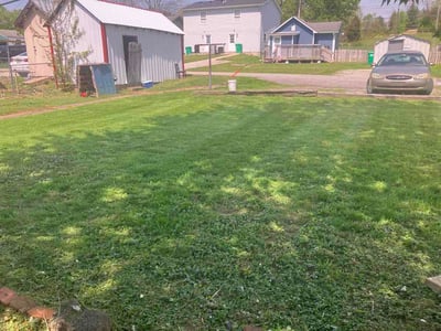 Lawn Care service in Charlestown, 47111