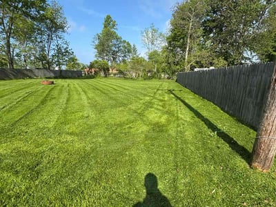 Lawn Care service in ,