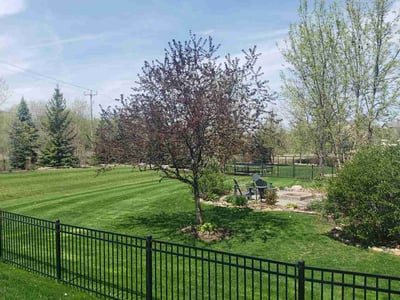 Lawn Care service in Woodbury, 55125