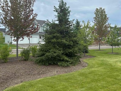 Lawn Care service in Woodbury, 55125