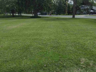 Lawn Care service in Inver Grove Heights, 55076