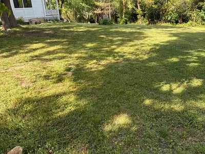 Lawn Care service in Gurnee, 60031