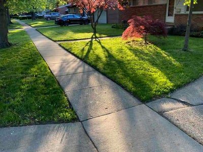 Lawn Care service in Hudsonville, 49426