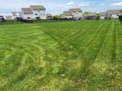 Lawn Care service in Harrisburg, 17102