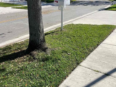 Lawn Care service in Davie, 33328