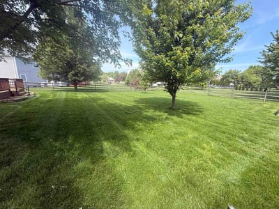 Lawn Care service in Maumee, 43537