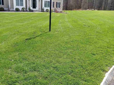 Lawn Care service in Billerica, 01821