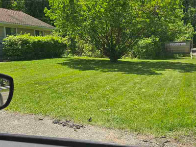 Lawn Care service in Harrison Township, 48045