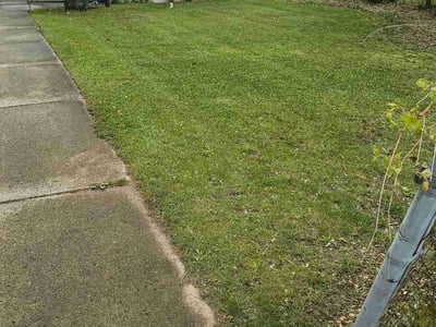 Lawn Care service in West Bloomfield, 48323