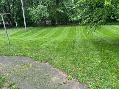 Lawn Care service in Deep River, 06417