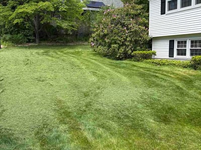 Lawn Care service in Hamden, 06518