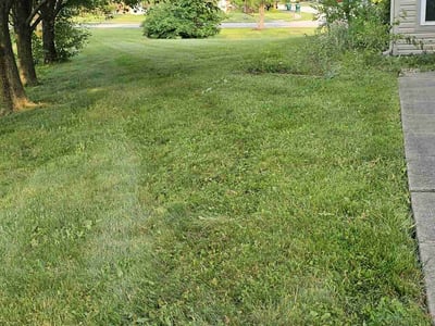 Lawn Care service in Ocean City, 08226