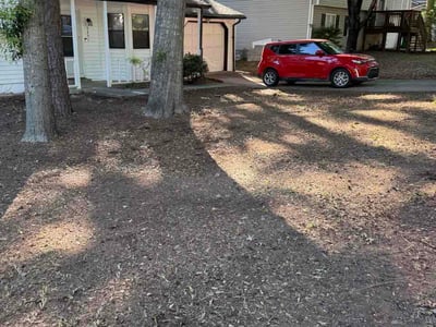 Leaf Removal service in Woodstock, 30188