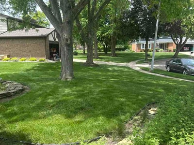 Lawn Care service in Saint Joseph, 49085