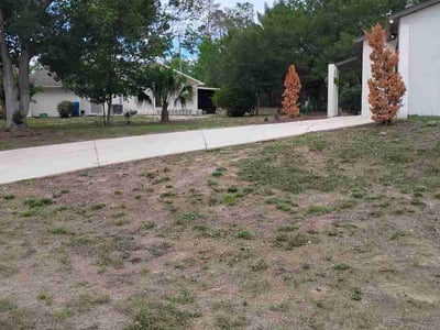 Leaf Removal service in Wesley Chapel, 33543