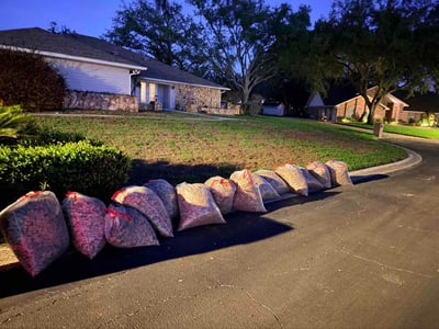 Leaf Removal service in Wesley Chapel, 33543