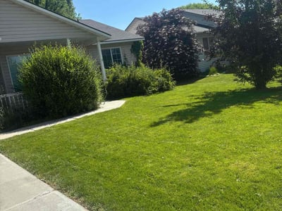Lawn Care service in Springfield, 97477