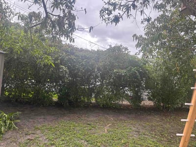 Leaf Removal service in Miami Gardens, 33056