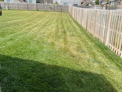 Lawn Care service in Garfield, 07026