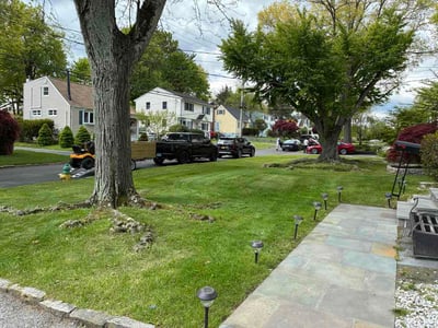 Lawn Care service in Bronx, 10462