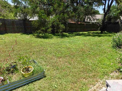 Lawn Care service in Saint Albans, 11412