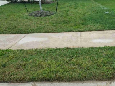 Lawn Care service in Saint Albans, 11412