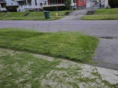 Lawn Care service in Saint Albans, 11412