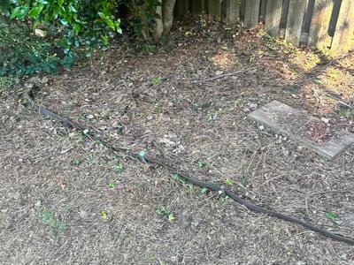 Leaf Removal service in Newnan, 30263