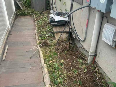 Leaf Removal service in Layton, 84041
