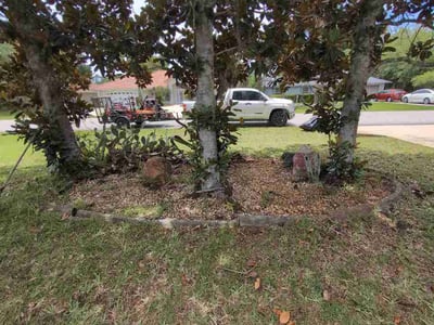 Leaf Removal service in Port Orange, 32127