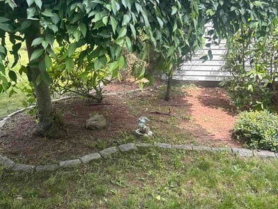 Leaf Removal service in Lutz, 33549