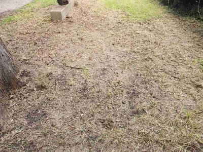 Leaf Removal service in Cypress, 77429