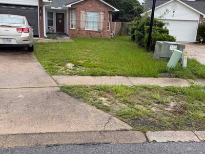 Leaf Removal service in Lafayette, 70501