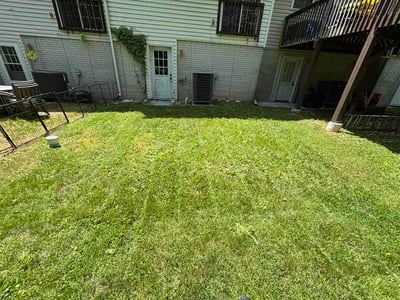 Lawn Care service in Martinsburg, 25401