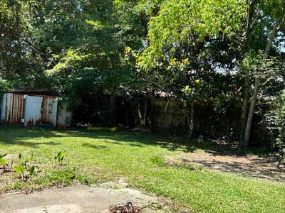 Lawn Care service in Pascagoula, 39567