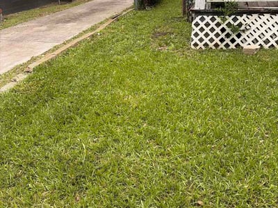 Lawn Care service in Valdosta, 31601